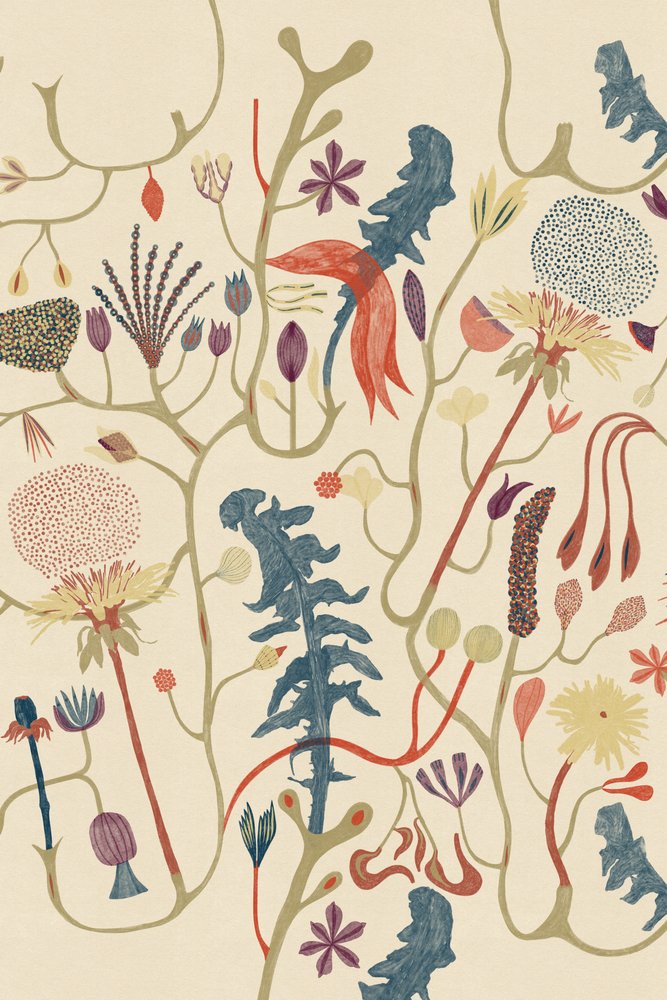 Verka av Alexander Adiels