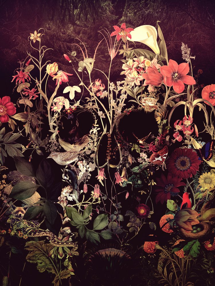 Floral Skull Garden av Ali Gulec