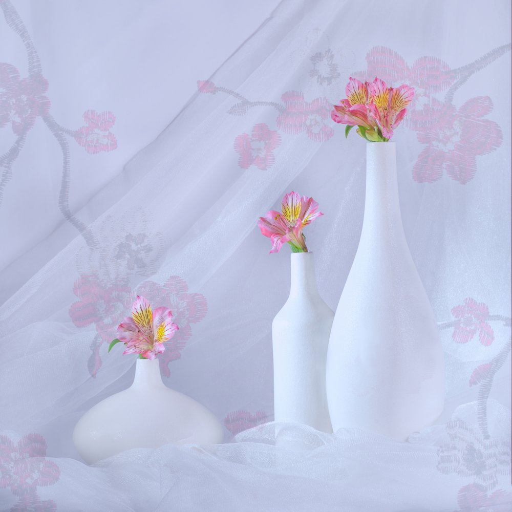 Eleganta rosa blommor av Alice Sheng