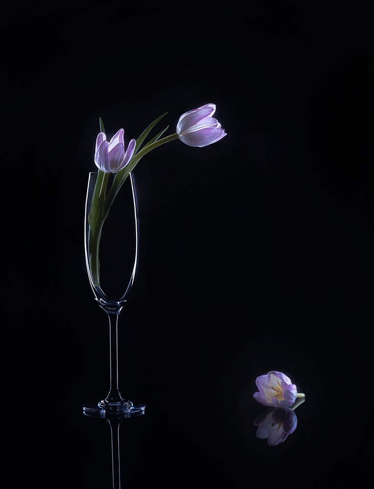 Eleganta lila tulpaner av Alice Sheng