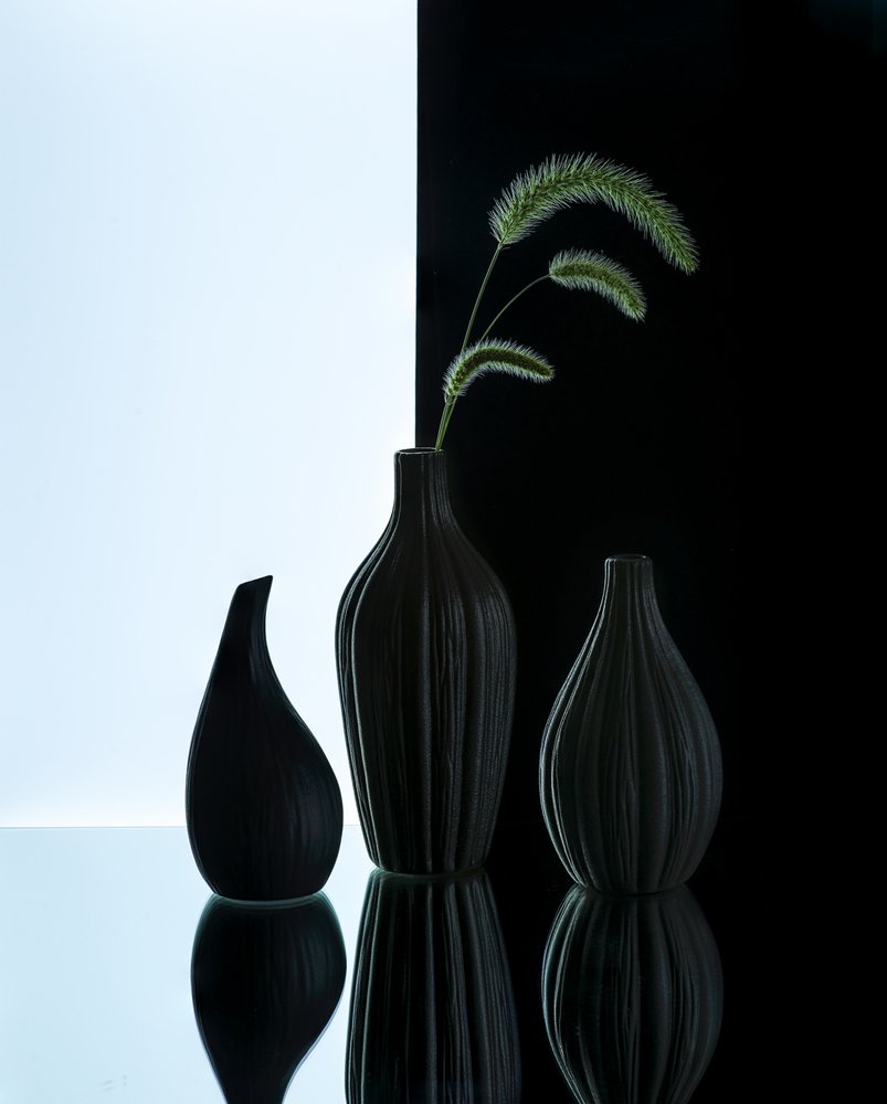 Eleganta vaser med gräs av Alice Sheng