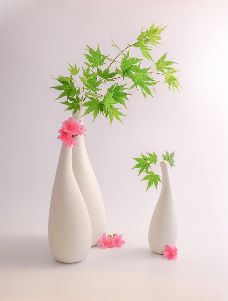 Gröna blad, rosa blommor av Alice Sheng
