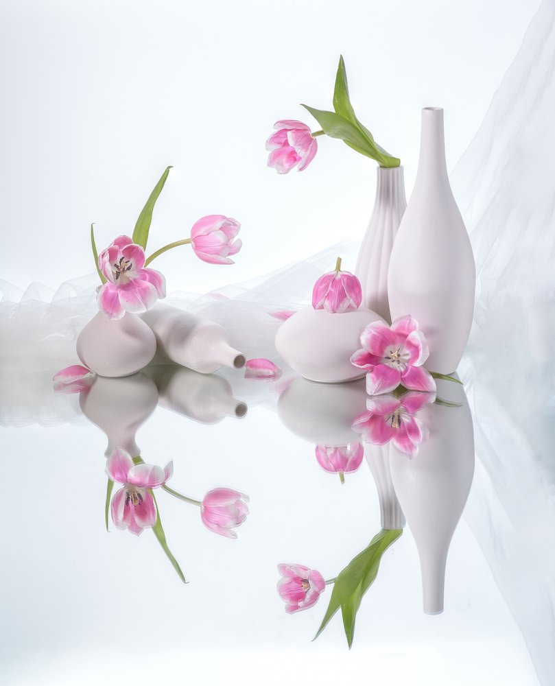Reflektioner över rosa tulpaner av Alice Sheng