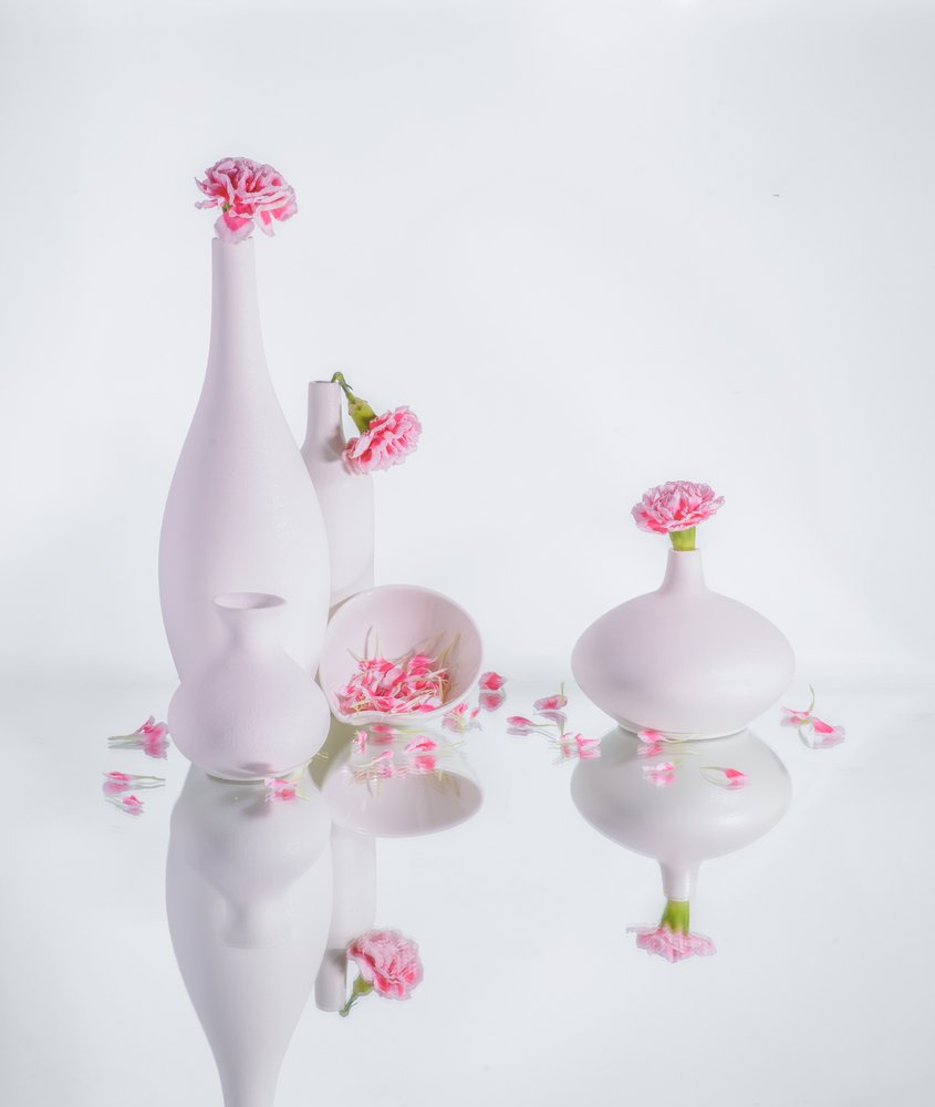 Lugna rosa vaser av Alice Sheng