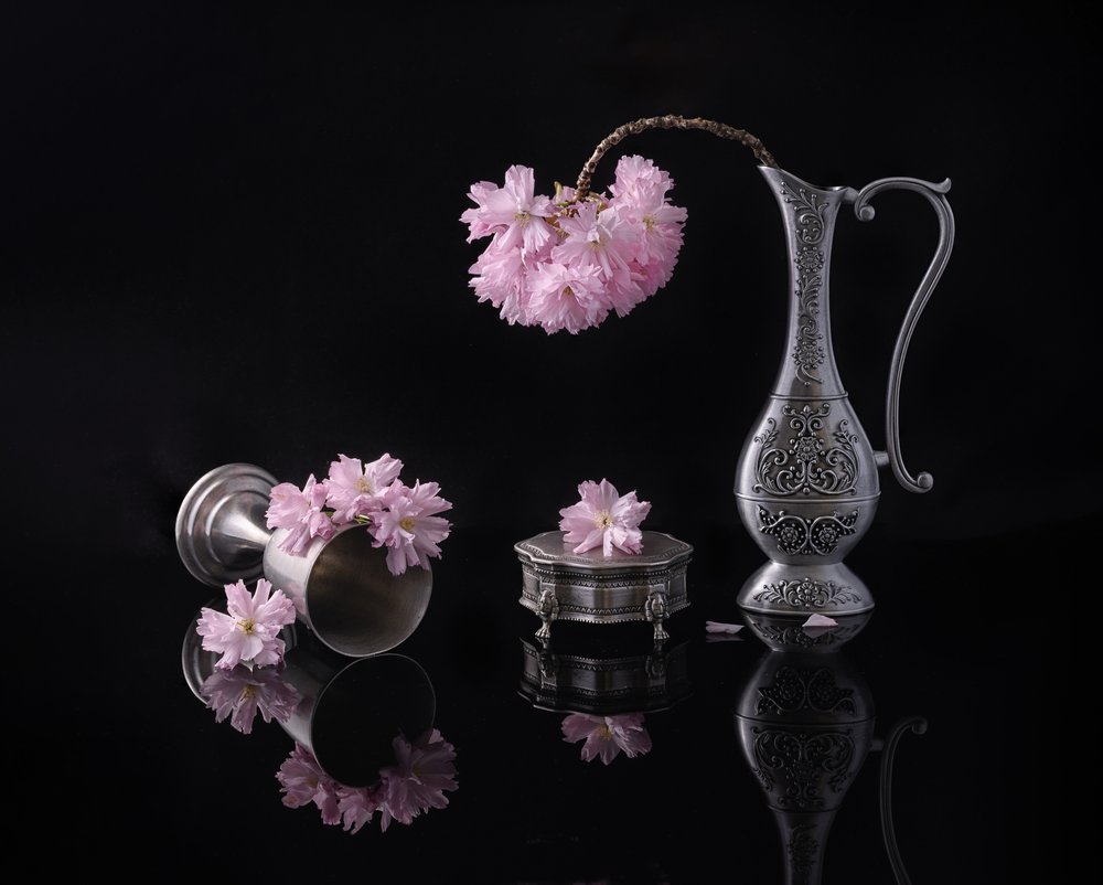 Silver och Sakura av Alice Sheng