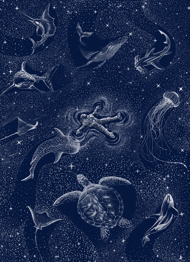 Astronaut Ocean Stars av Alirıza ÇAKIR