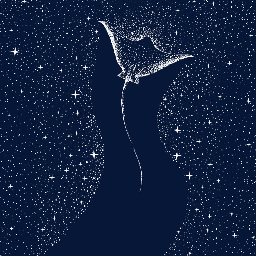 Kosmisk mantarocka av Alirıza ÇAKIR