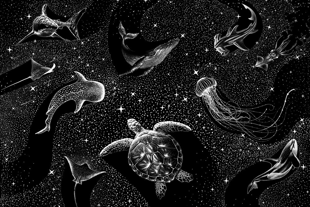 Djur i det kosmiska havet av Alirıza ÇAKIR