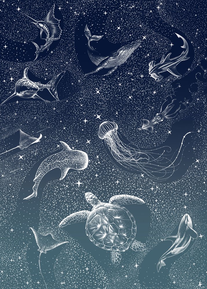 Djur i det kosmiska havet av Alirıza ÇAKIR