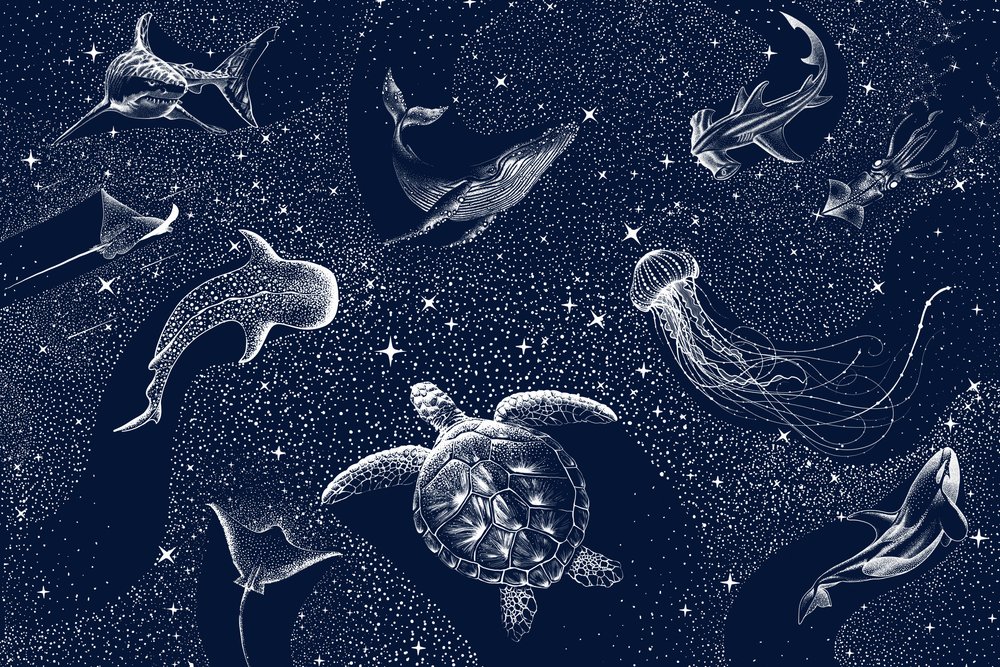 Djur i det kosmiska havet av Alirıza ÇAKIR