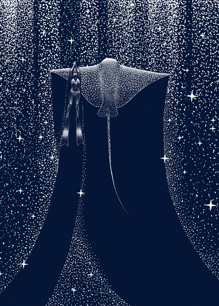 Starlit Ray – en följeslagare av Alirıza ÇAKIR