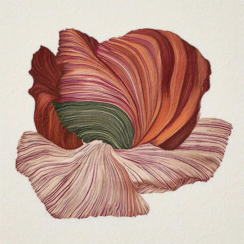 Färgglad ekologisk blomning av Alma