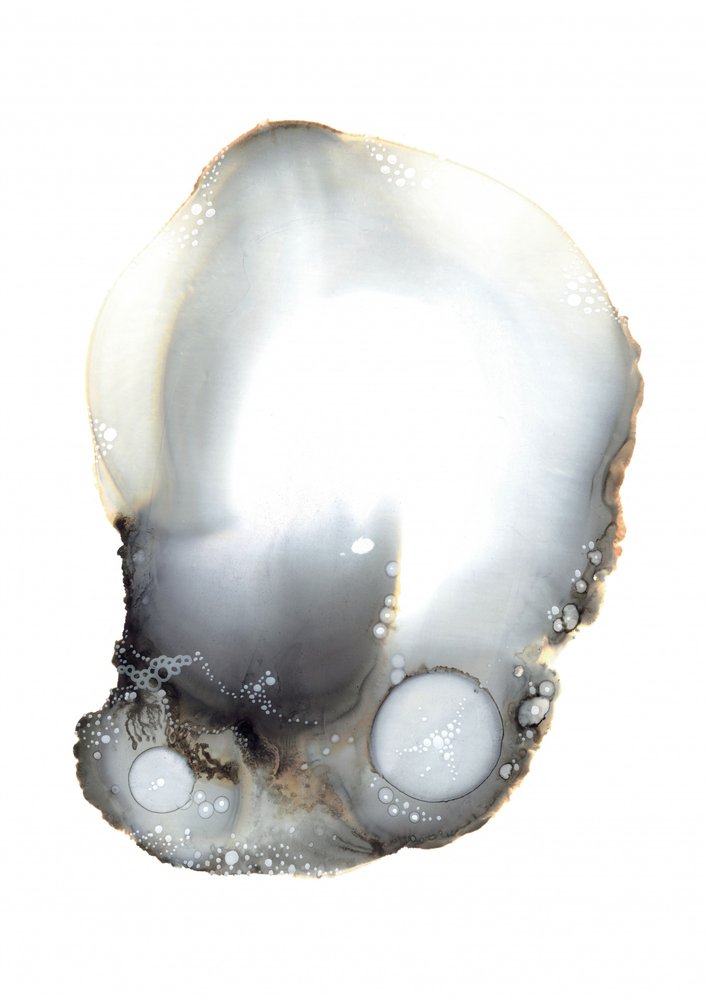 Prov XI av Amy Louise Baker