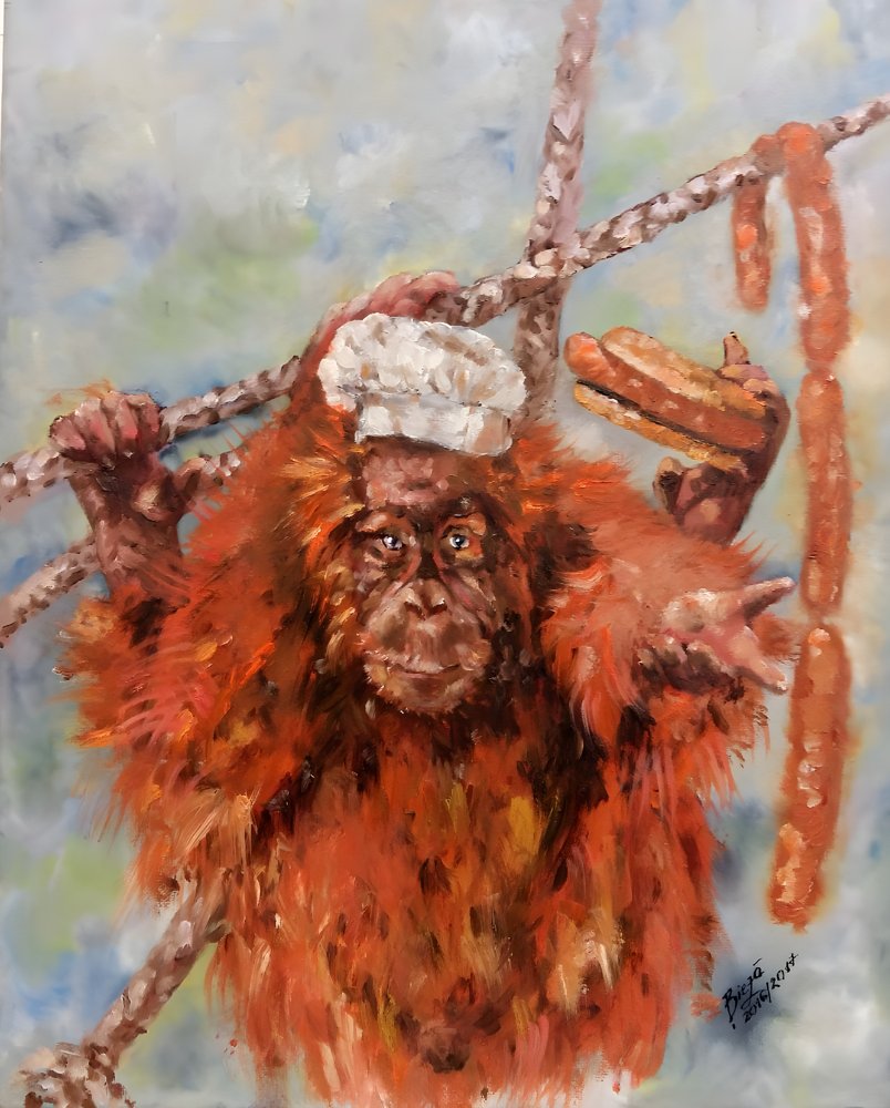 Den roliga orangutangkocken av Anda Bieza