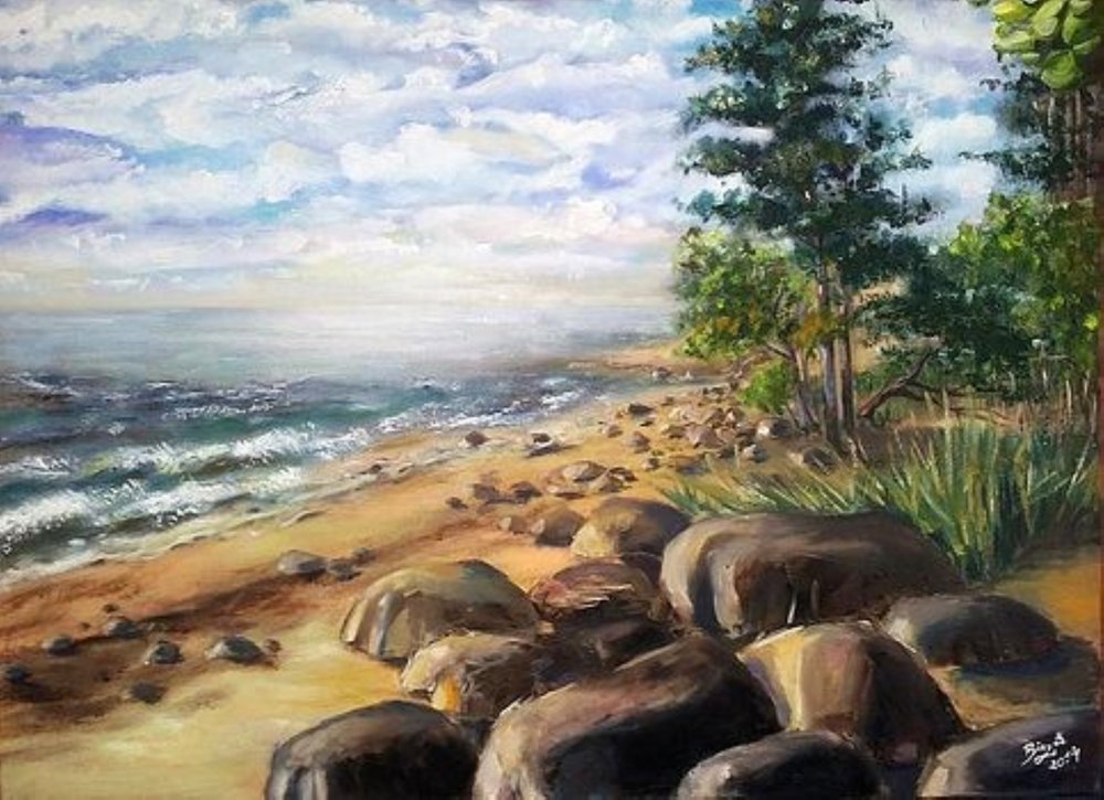 Lugn vid den klippiga stranden av Anda Bieza