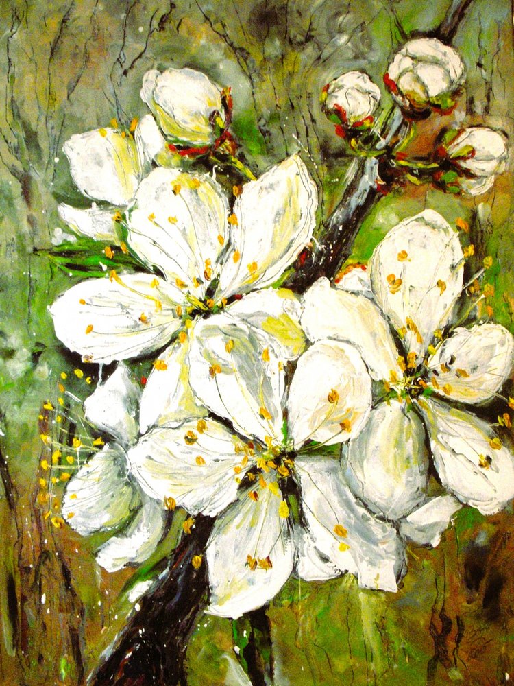 Vårens vita blommor av Anda Bieza