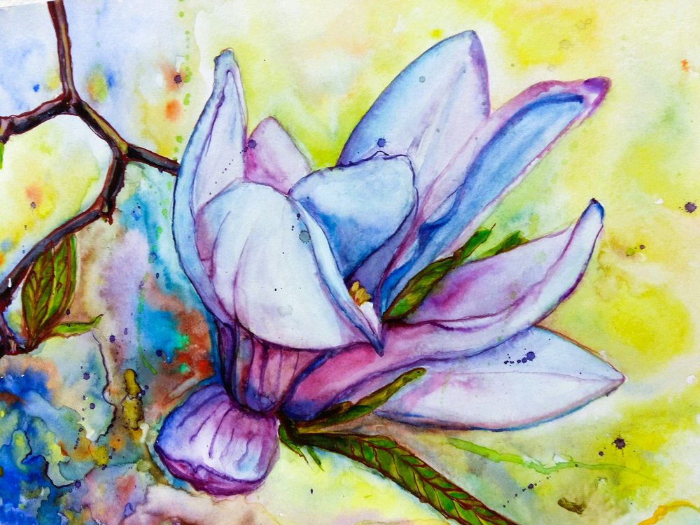En färgsprakande magnoliablomma av Anda Bieza