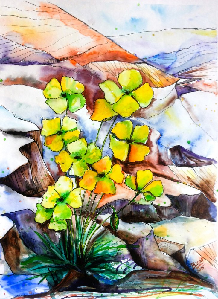 Färgsprakande bergsblommor av Anda Bieza