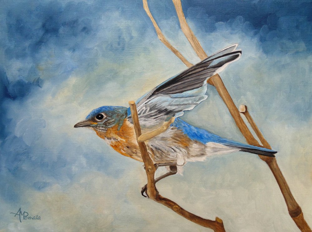 Bluebird lyfter av Angeles M. Pomata
