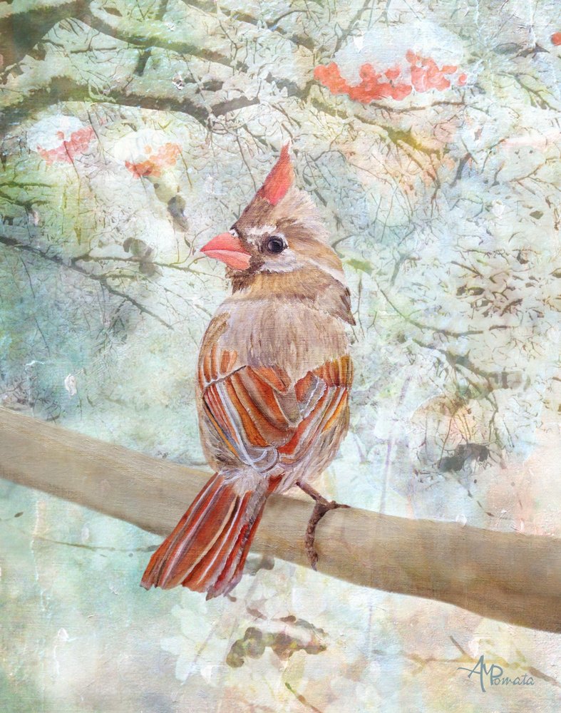 av Angeles M. Pomata