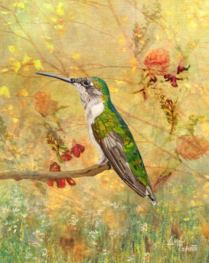 Guldkolibrins sittpinne av Angeles M. Pomata