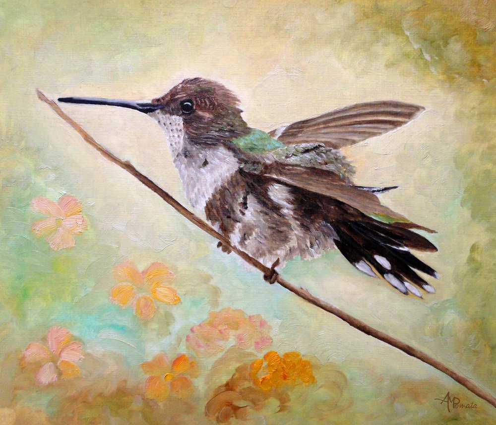 Kolibri på en gren av Angeles M. Pomata
