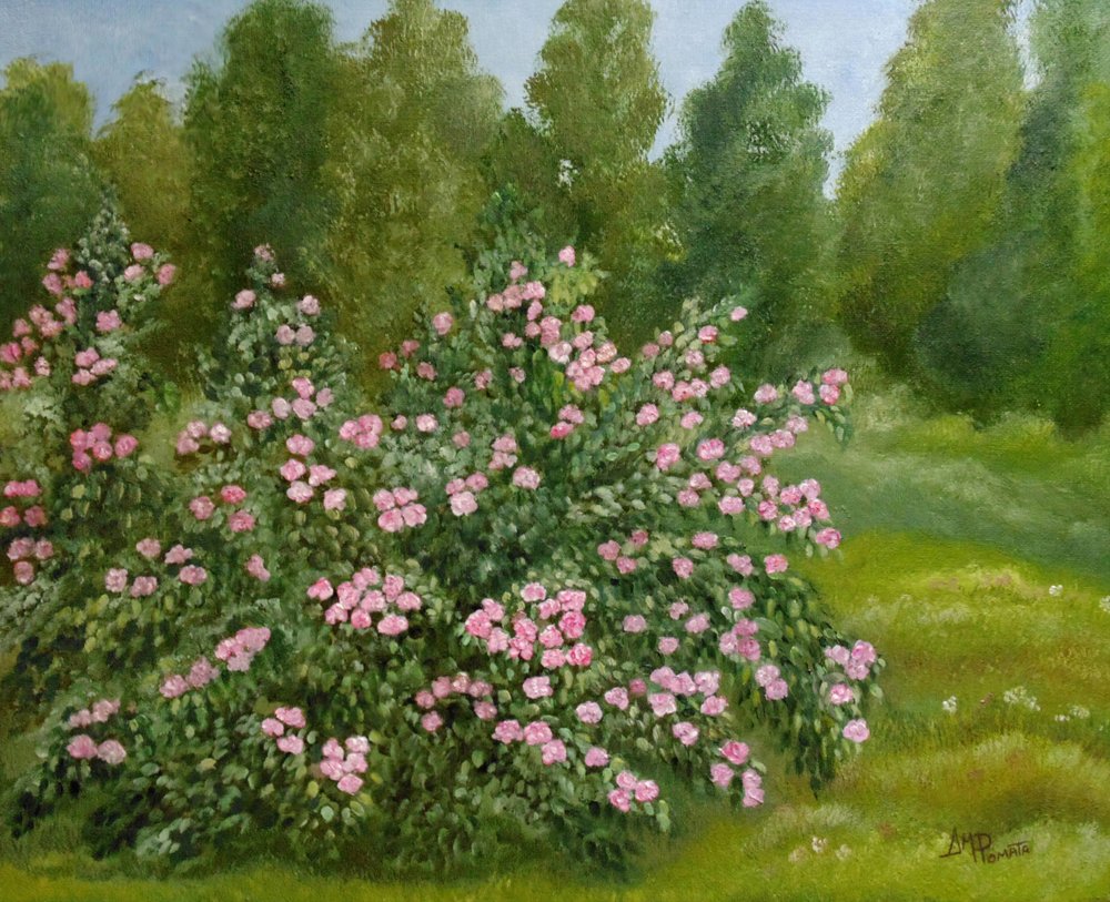 Den fridfulla rosenträdgården av Angeles M. Pomata