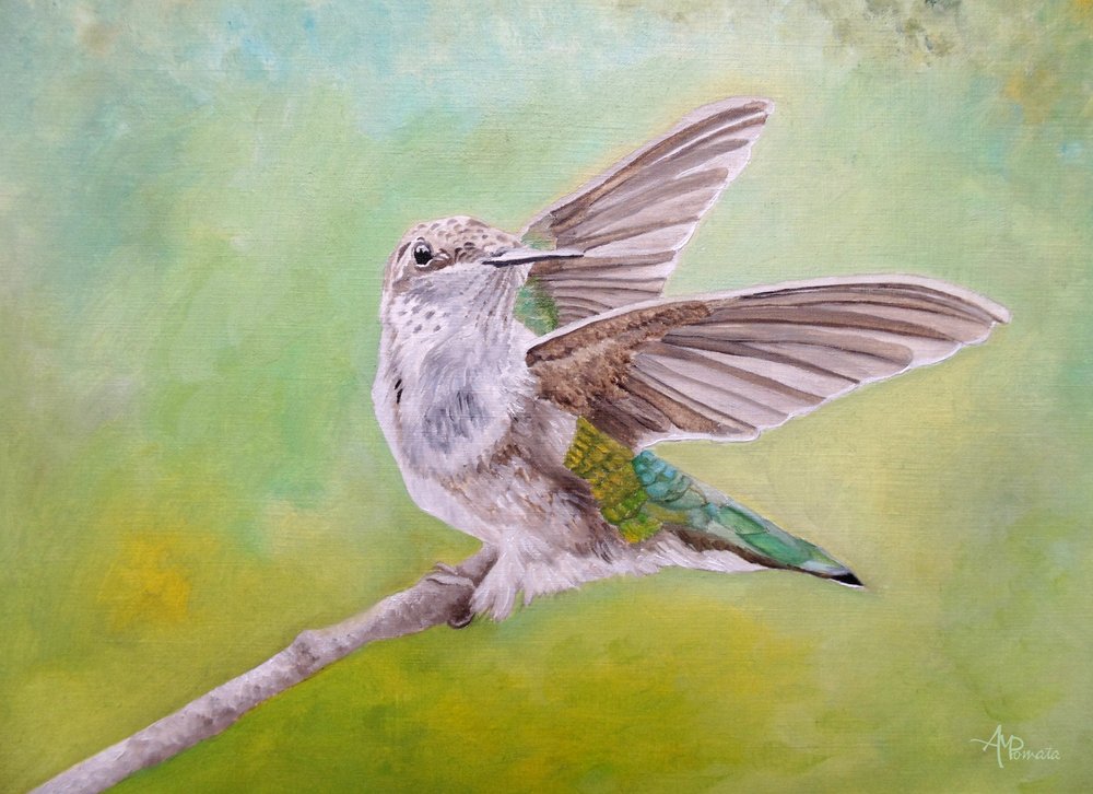 En kolibri som sitter med utsträckta vingar av Angeles M. Pomata