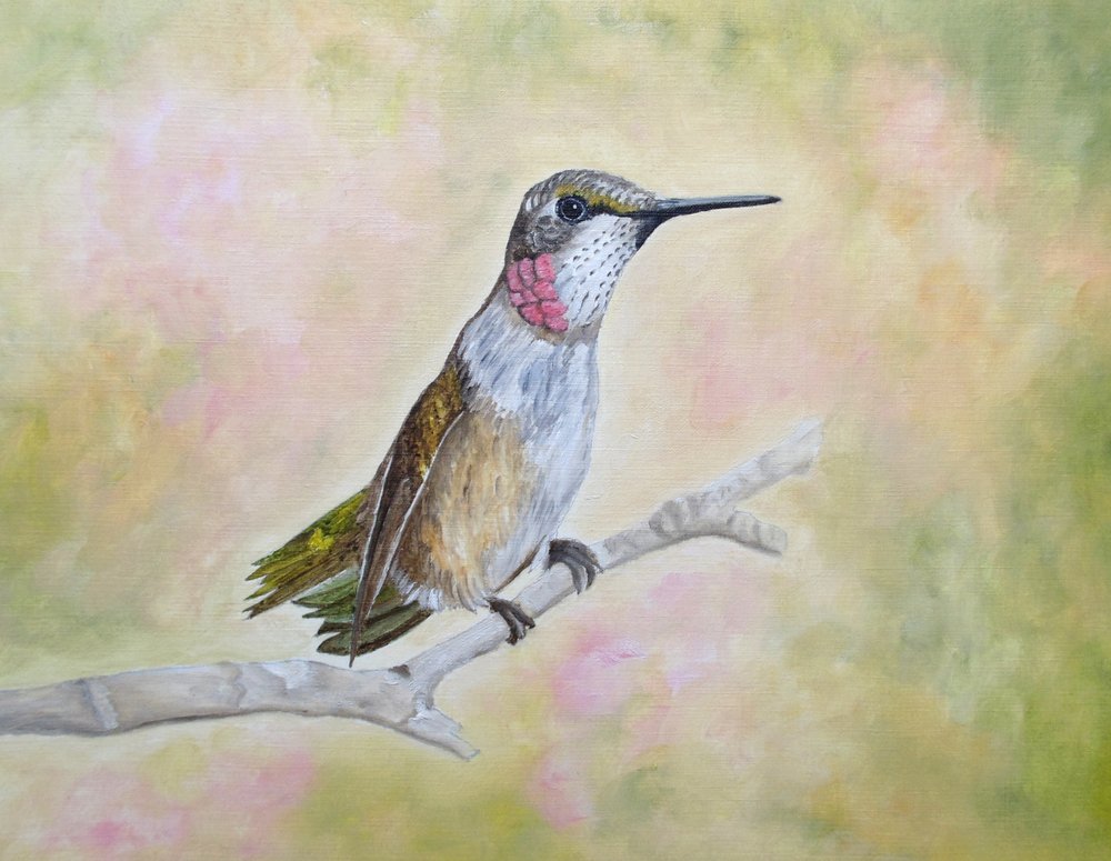 Rubinkolibri i flygande ställning av Angeles M. Pomata