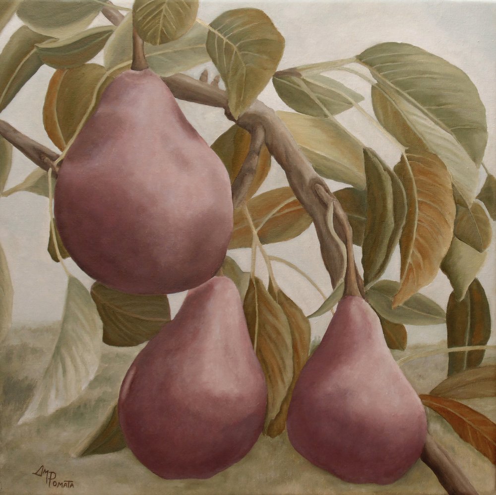  av Angeles M. Pomata