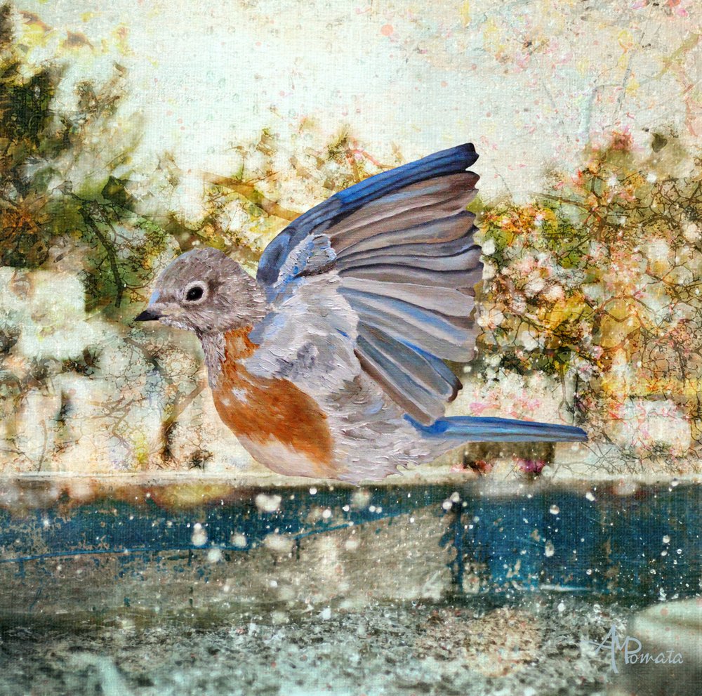  av Angeles M. Pomata