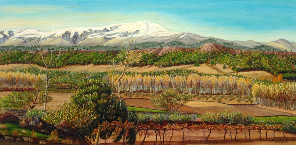  av Angeles M. Pomata