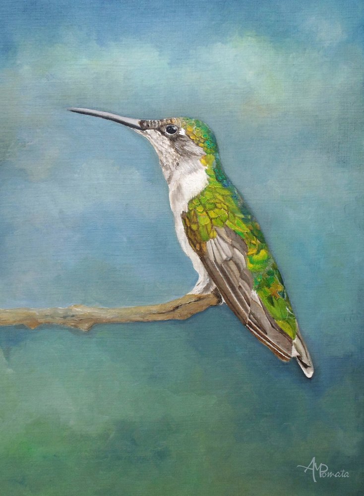 Färgglad kolibri-sittpinne av Angeles M. Pomata