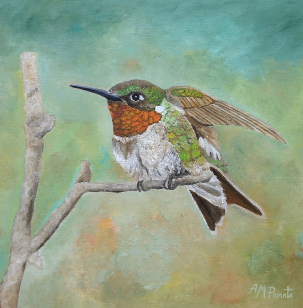 En livfull kolibri som sitter på en gren av Angeles M. Pomata