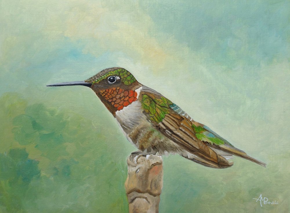 En livfull kolibri som sitter på en gren av Angeles M. Pomata