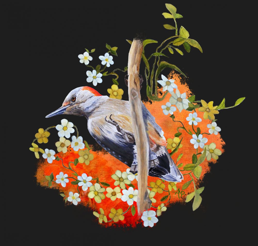 Livfull hackspettblomma av Angeles M. Pomata
