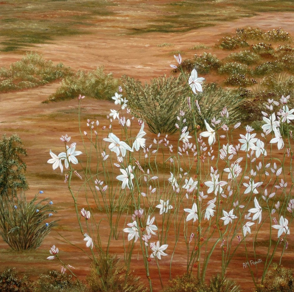  av Angeles M. Pomata