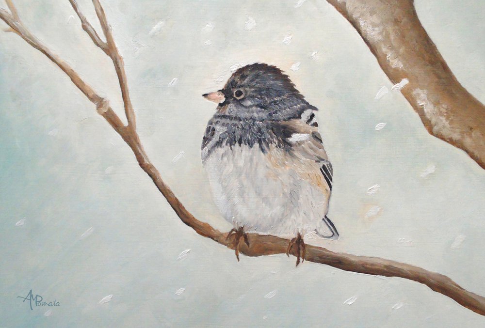 Vinterjunko av Angeles M. Pomata