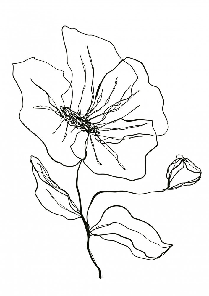 Skiss av en ömtålig blomma av Ankie Kooi