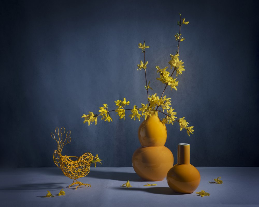 Stilleben med gyllene forsythia av Anna Qu