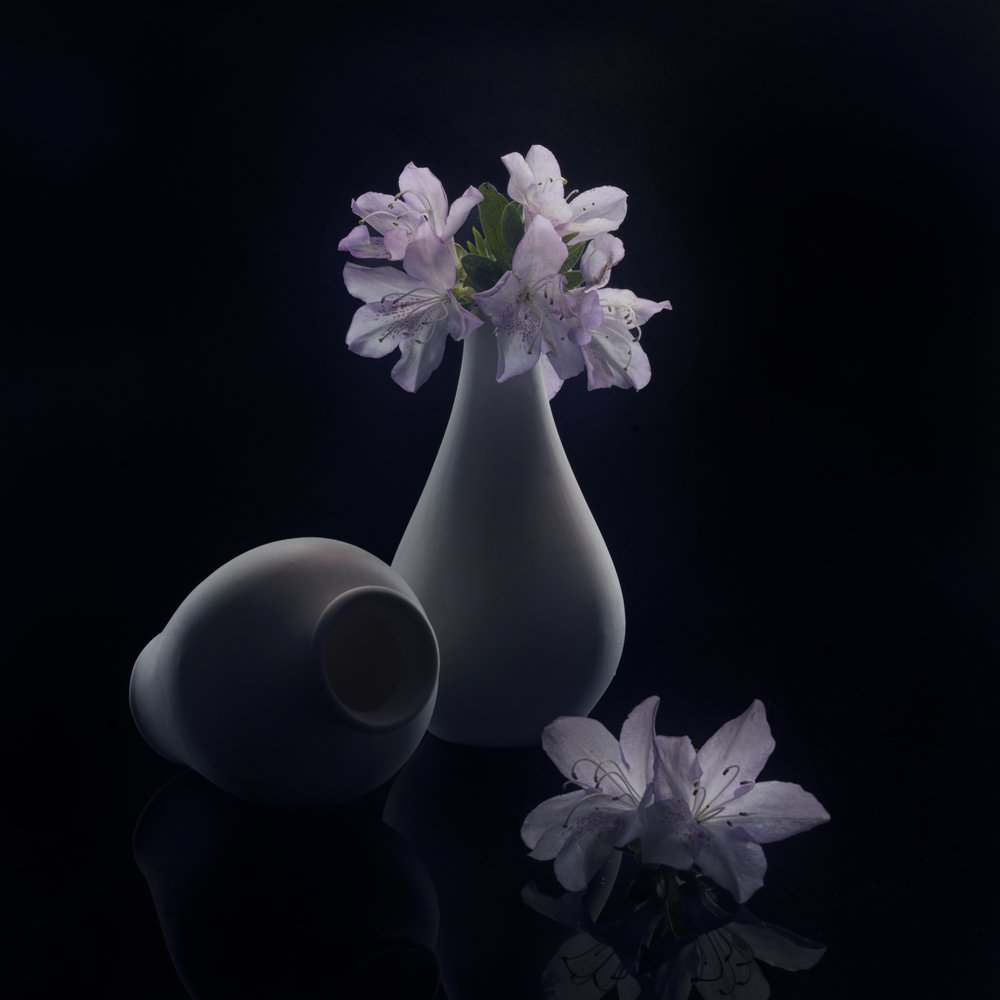 Stämningsfulla blommor och vaser av Anna Qu