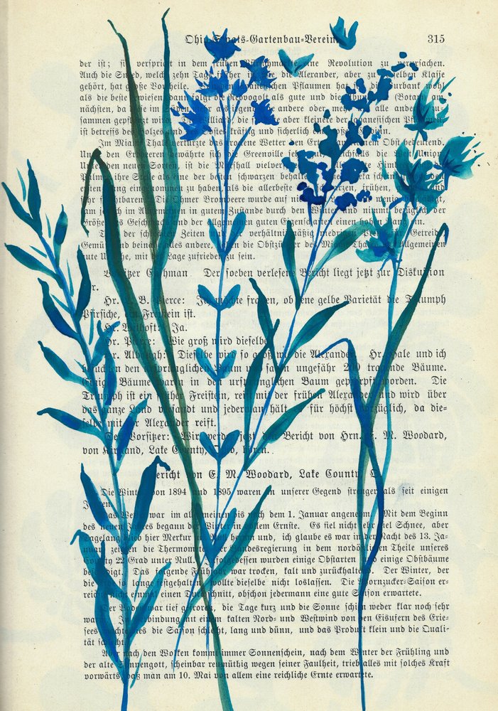 Blå blommor – gammal text av Annick