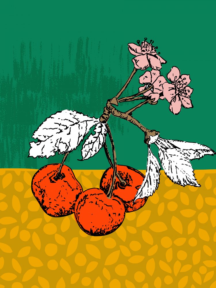 Körsbärsblommor av Annick