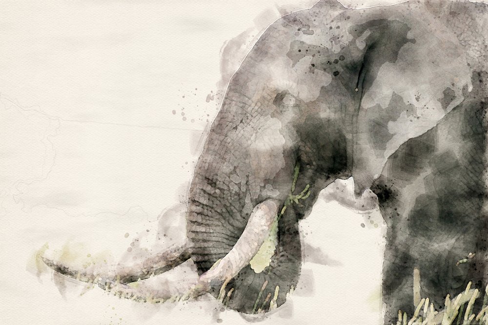 Fredlig elefant i akvarell av Arno Du Toit