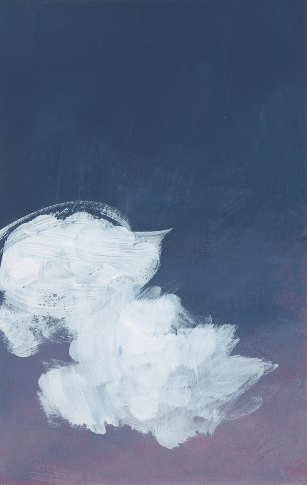 Indigo nattmoln av Bronwyn Baker