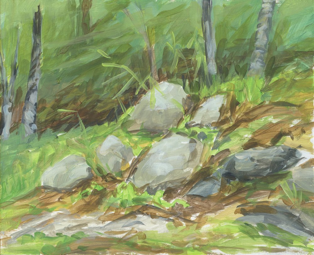 Green Forest Rocks av Carrie Arnold