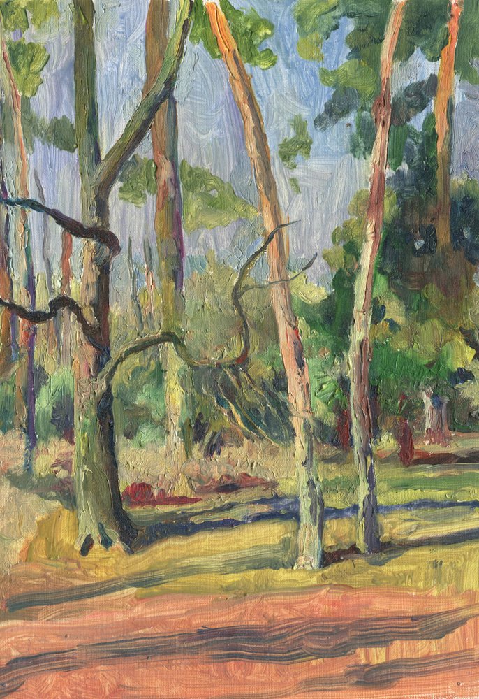 Solbelyst skogsstig av Catalina Somolinos