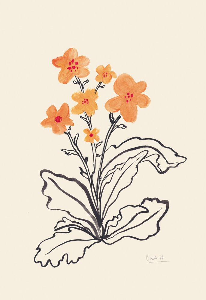 Ljusa orange blommor av Catalina Somolinos