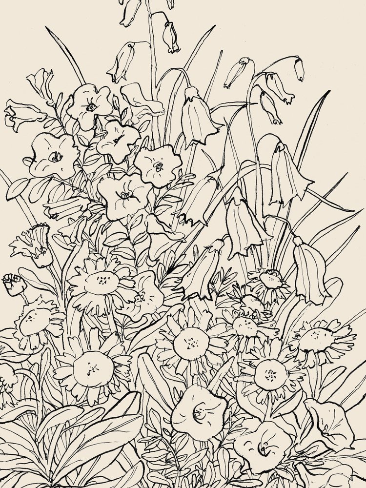 Vilda trädgårdsblommor av Catalina Somolinos