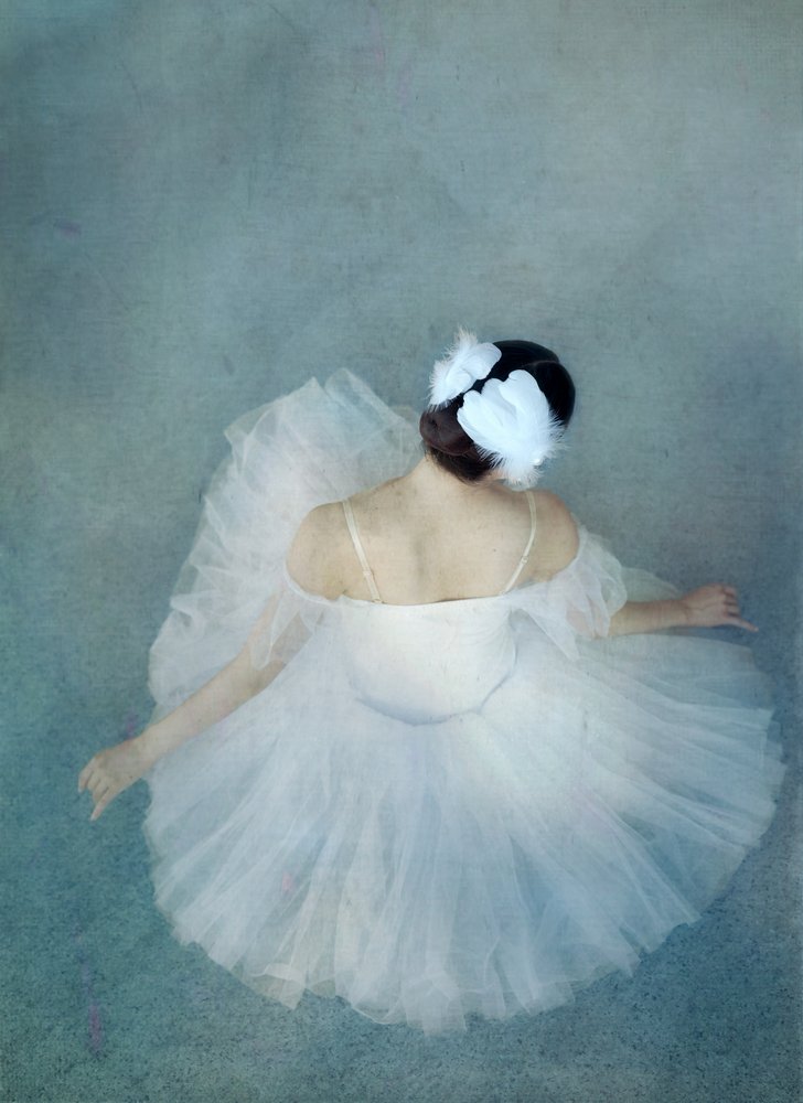Elegant Ballerina Swan av Catherine Wang